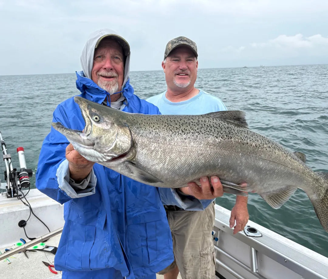 Lake Ontario angler holding a mature king salmon during the September 2026 staging bite near the Niagara Bar