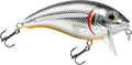 Bull Nose, view 12