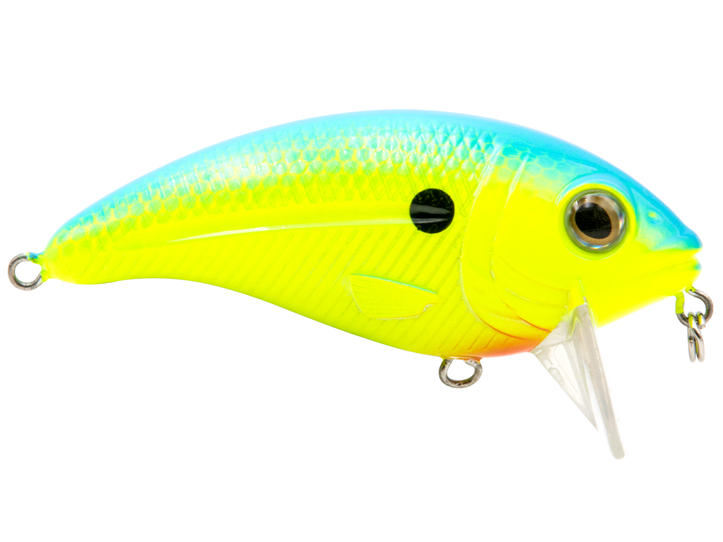 Bull Nose, view 15