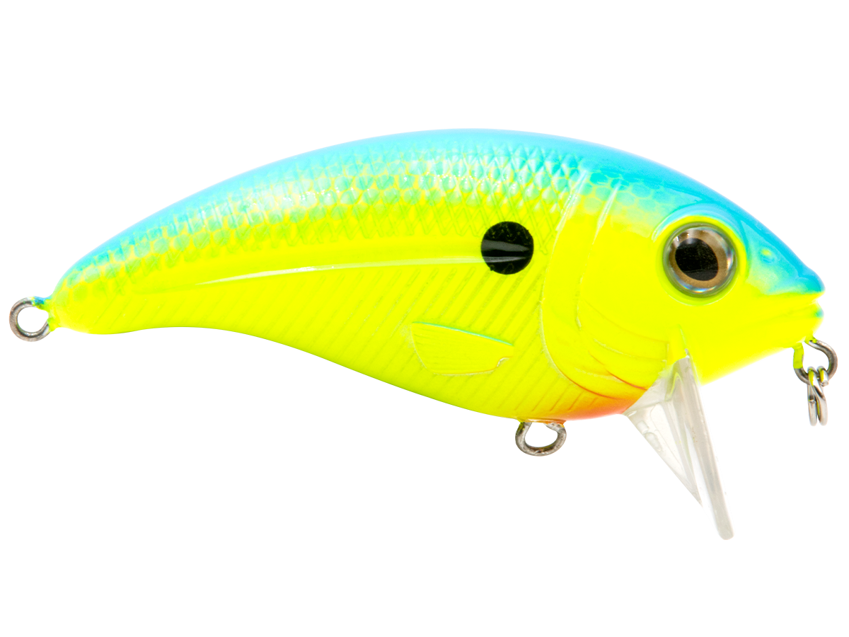 Bull Nose, view 15