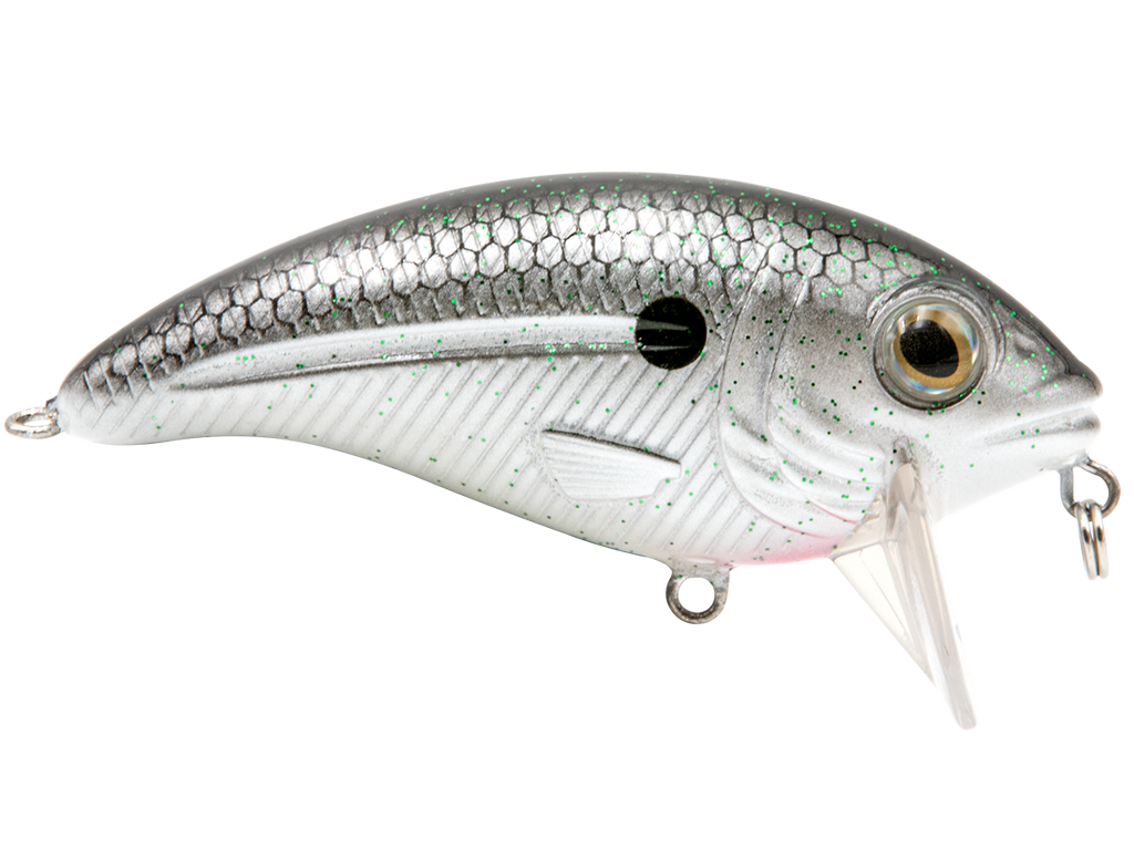 Bull Nose, view 33