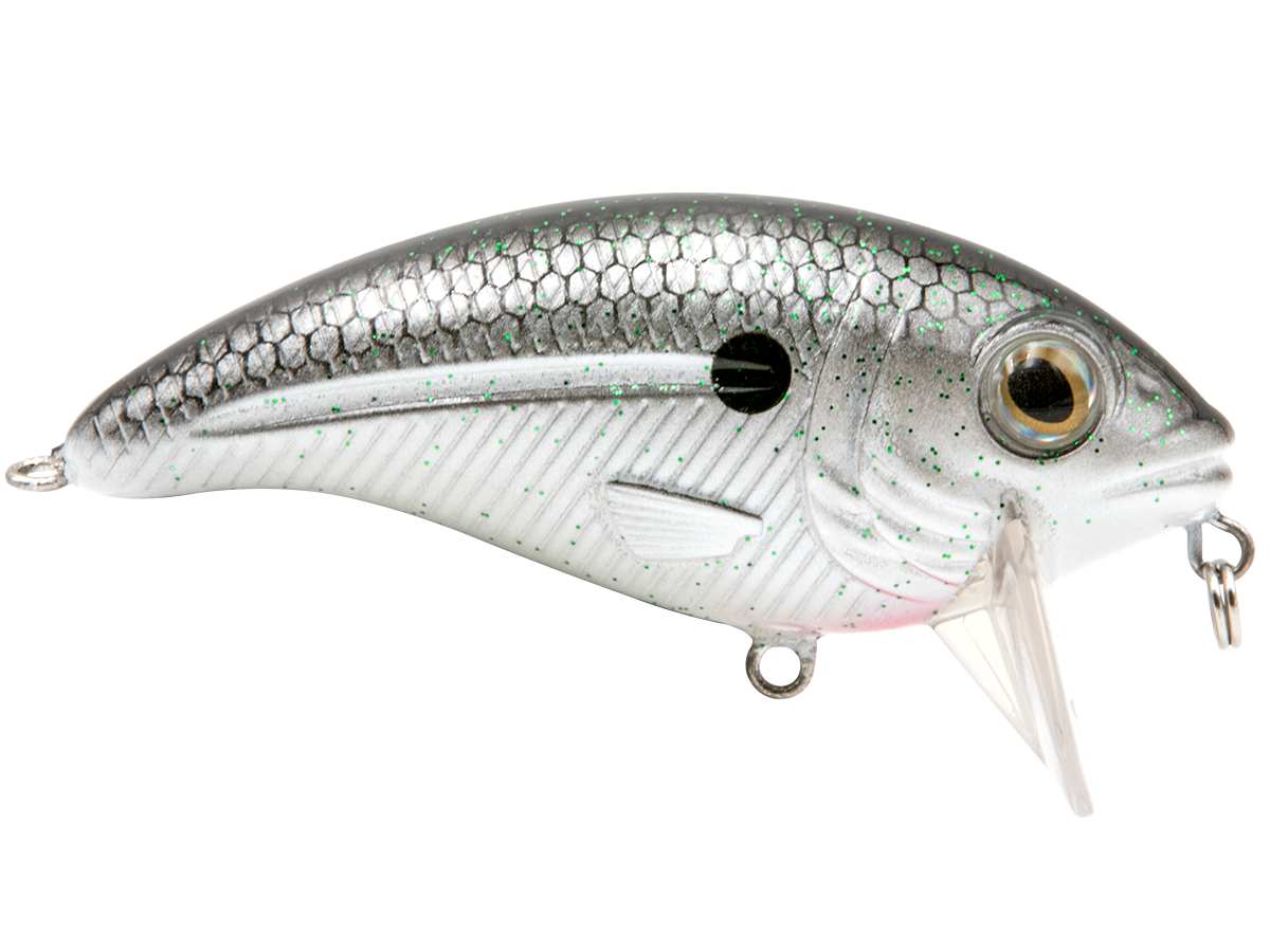 Bull Nose, view 33