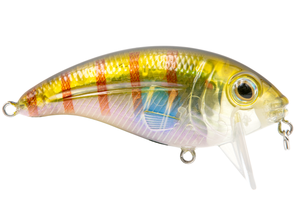 Bull Nose, view 30