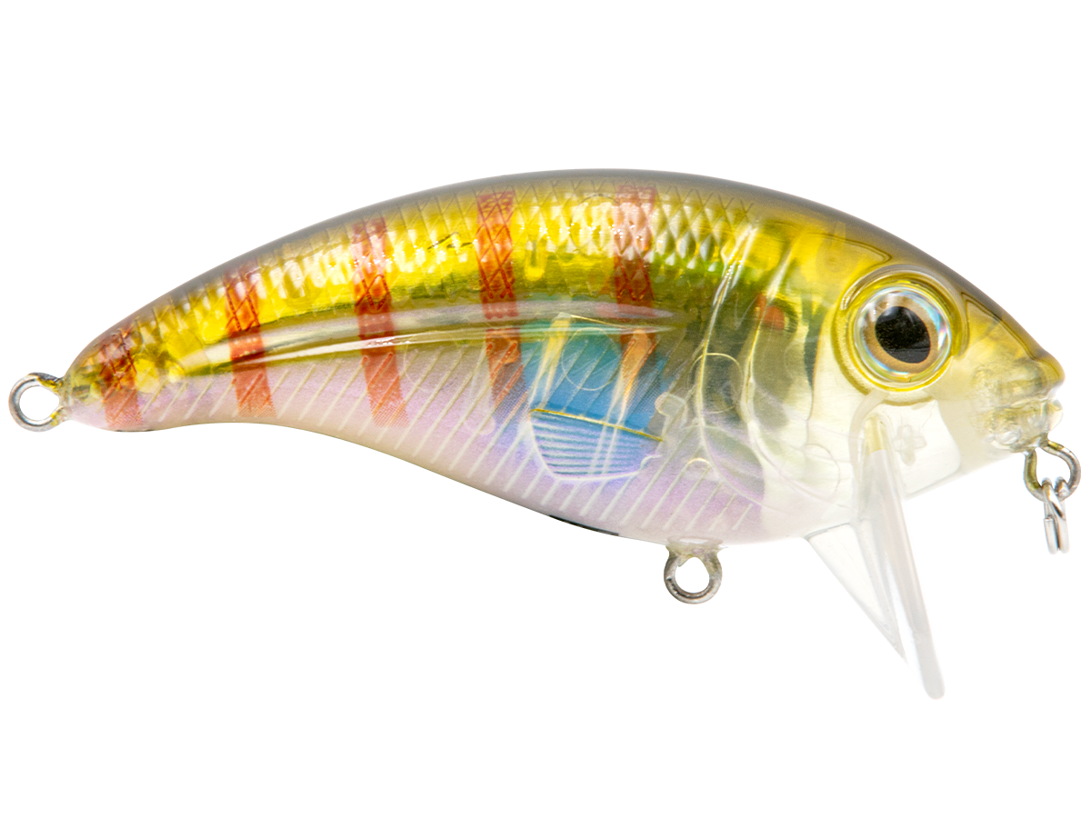 Bull Nose, view 30