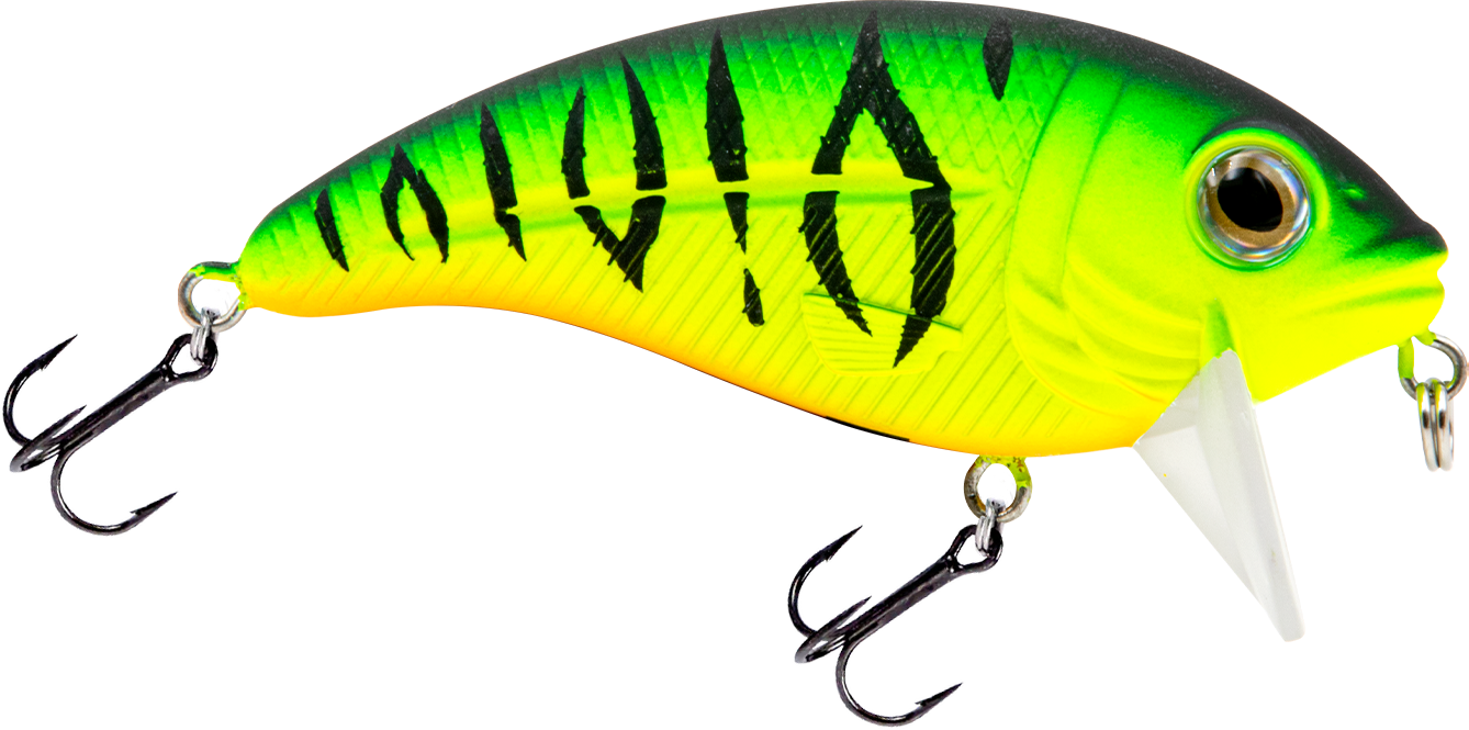 Bull Nose, view 6