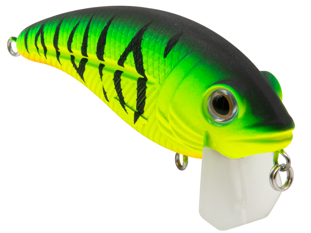 Bull Nose, view 38