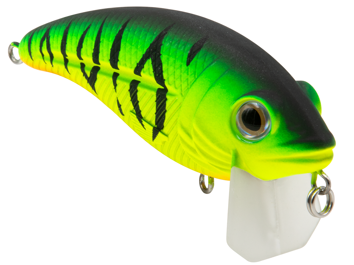 Bull Nose, view 38