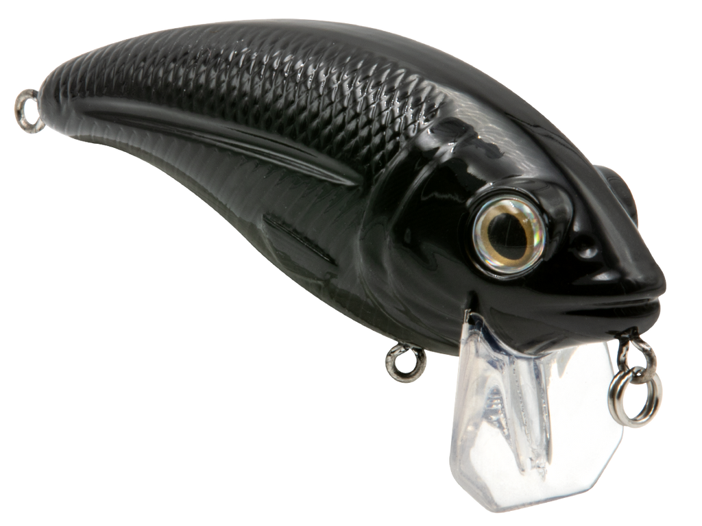 Bull Nose, view 44