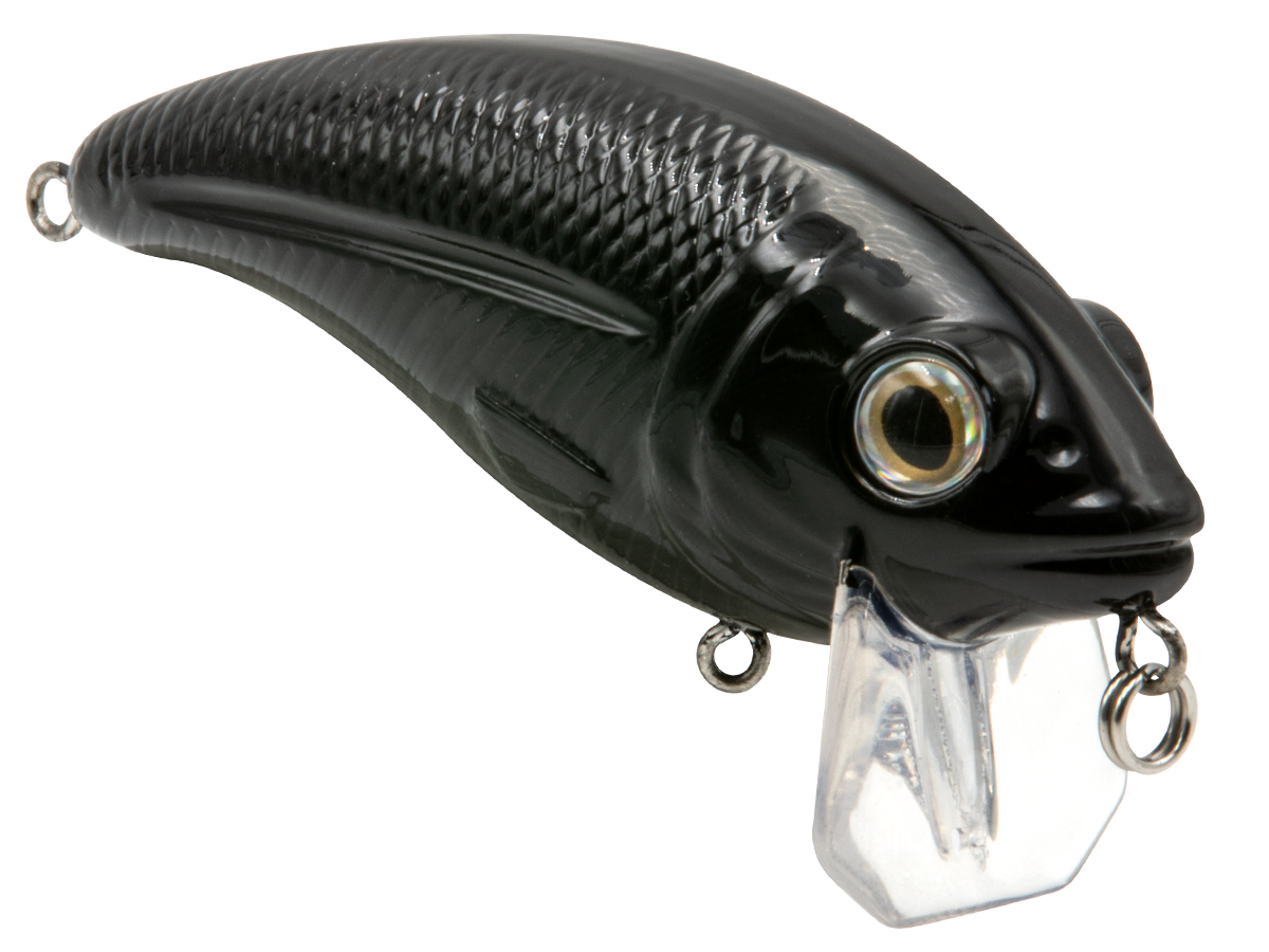 Bull Nose, view 44