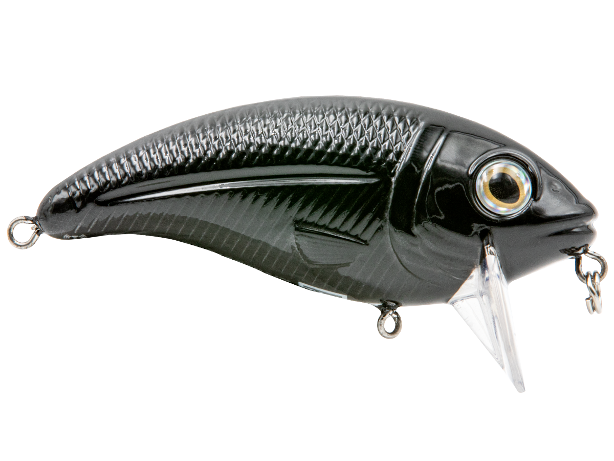 Bull Nose, view 42