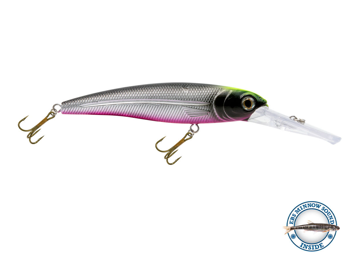 Voyager 15 Walleye, view 5