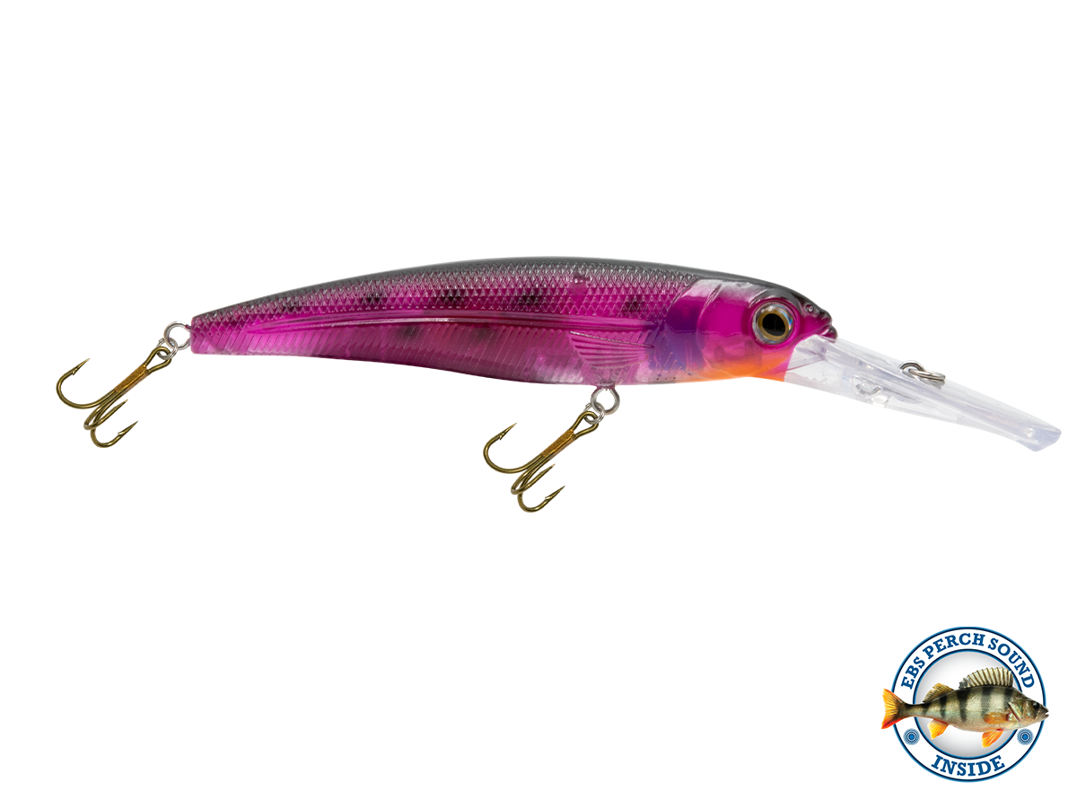 Voyager 15 Walleye, view 6
