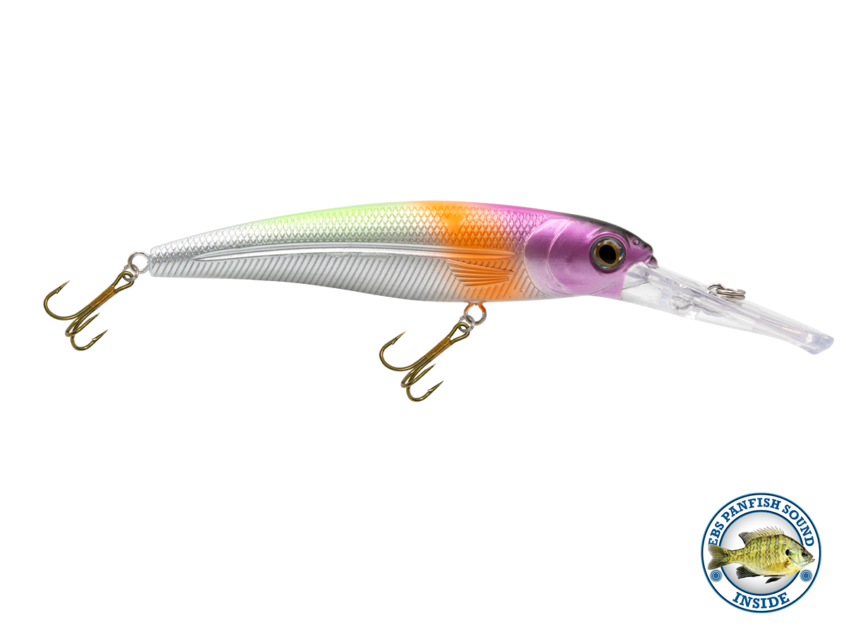 Voyager 15 Walleye, view 7