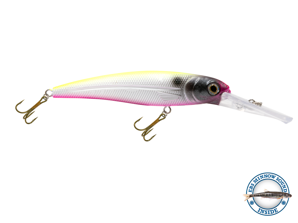 Voyager 15 Walleye, view 9