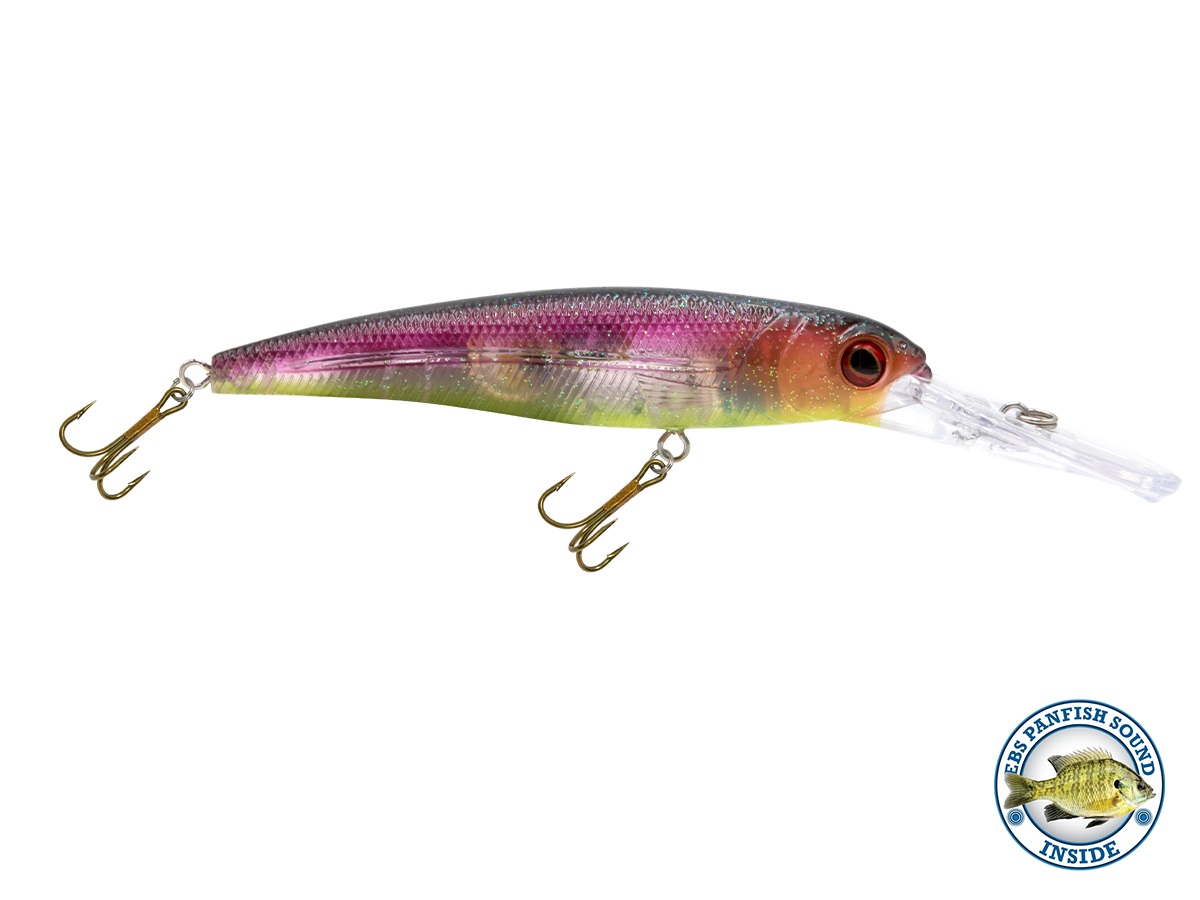 Voyager 15 Walleye, view 10