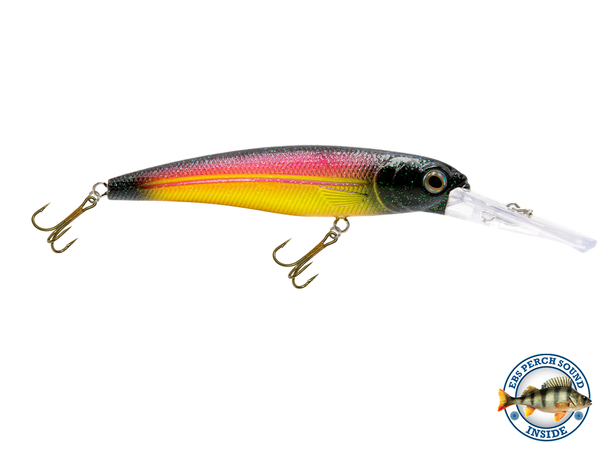 Voyager 15 Walleye, view 12