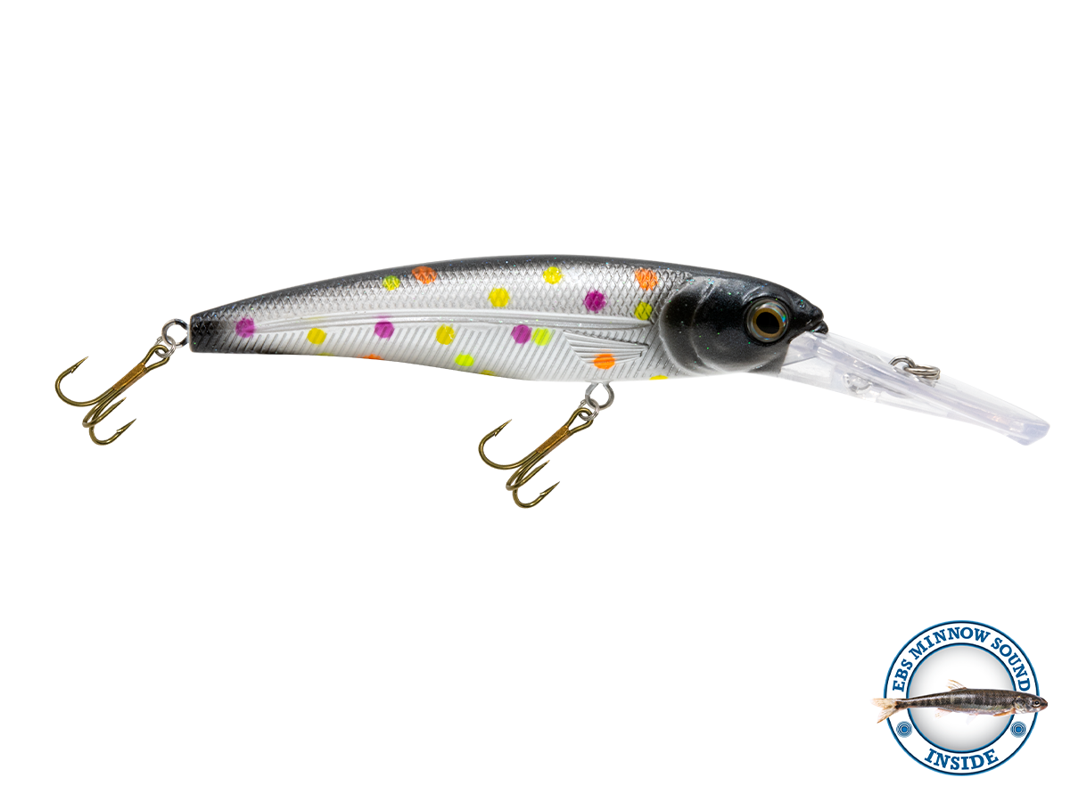Voyager 15 Walleye, view 13