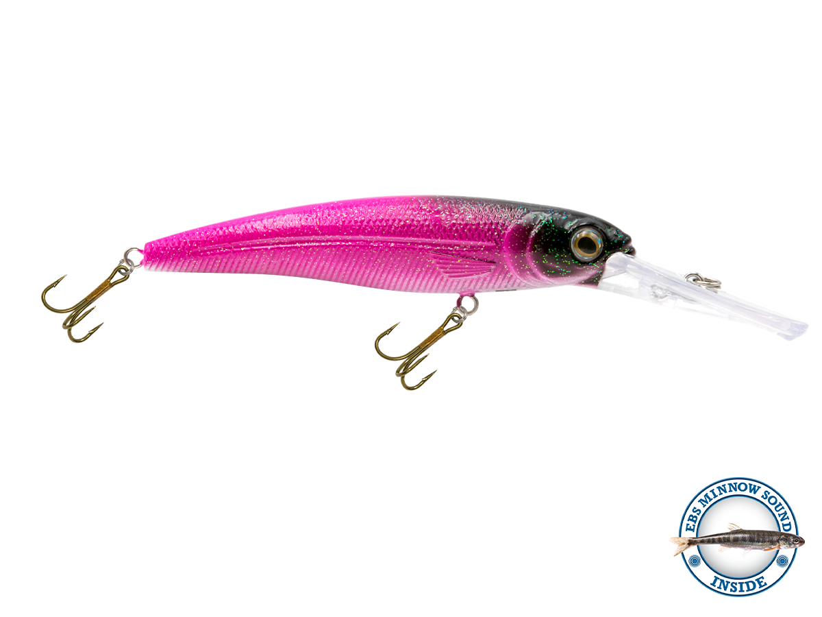 Voyager 15 Walleye, view 14