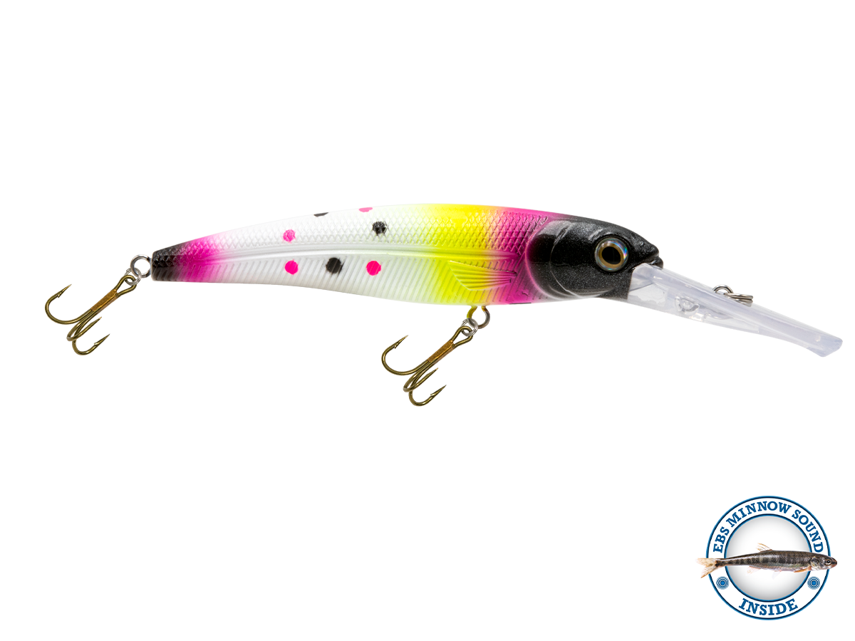 Voyager 15 Walleye, view 16