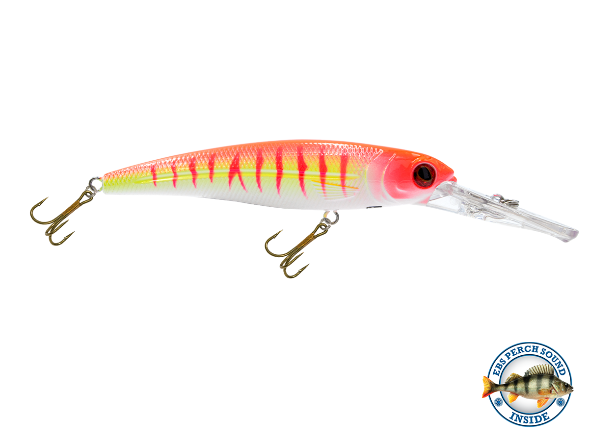 Voyager 15 Walleye, view 2
