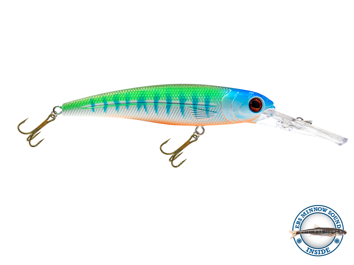 Voyager 15 Walleye, view 4