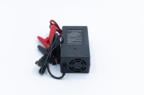 12v 10a Non Waterproof LiFePO4 Charger, view 2