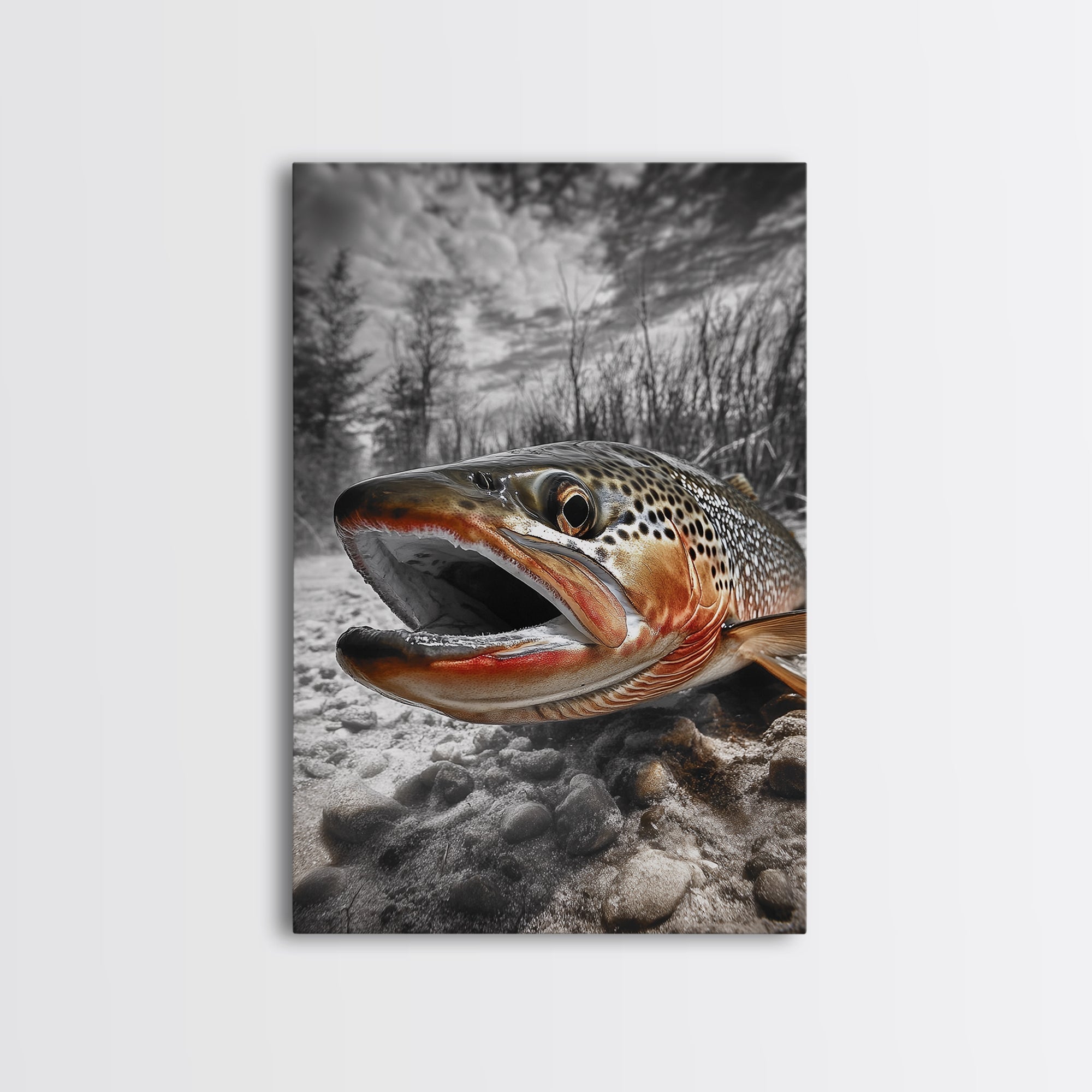 Brown Trout Closeup, Riverbed Focus, Dramatic Fish Art, Framed Canvas Print, Fisherman Gift, Cabin Wall Art, Rustic Outdoor D