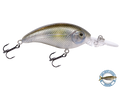 Deep Impact 6 - fishing lure