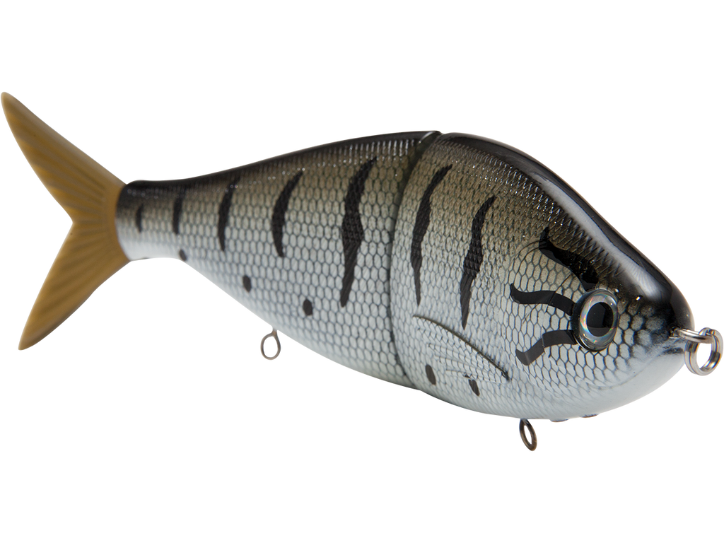 Fishing lure resembling a fish on a white background