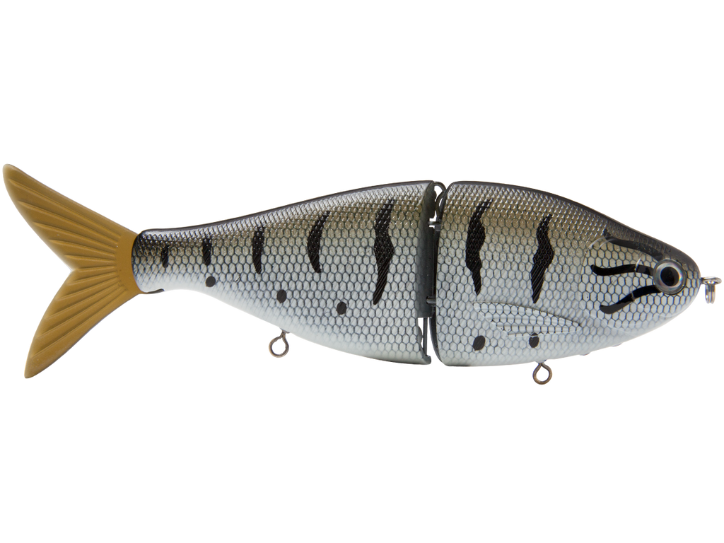 Fishing lure resembling a fish on a white background