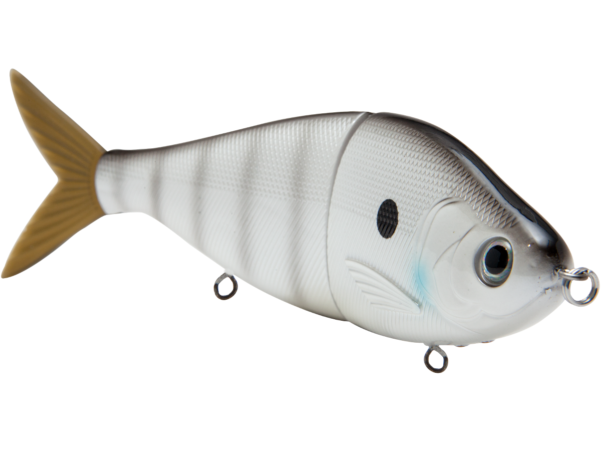 Fishing lure resembling a fish on a white background