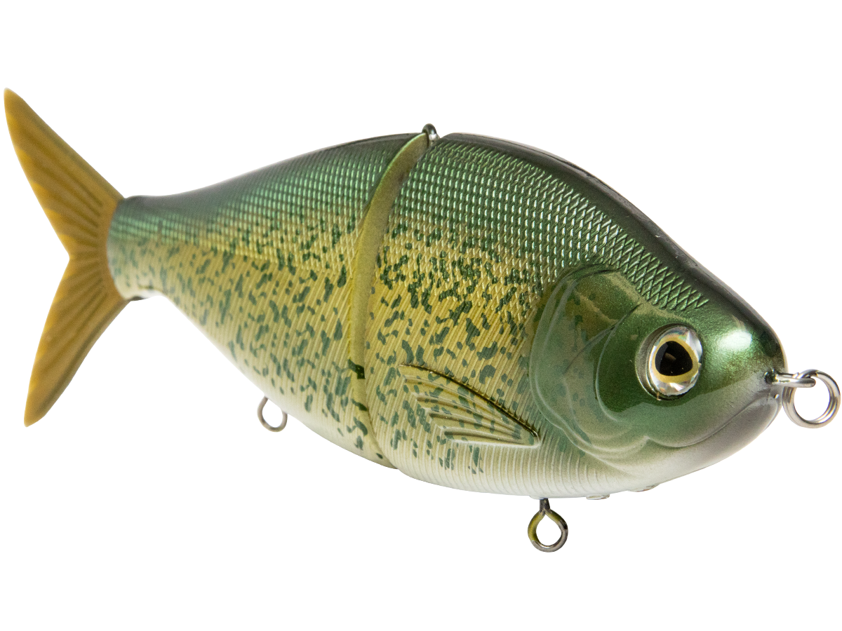 Fishing lure resembling a fish on a white background