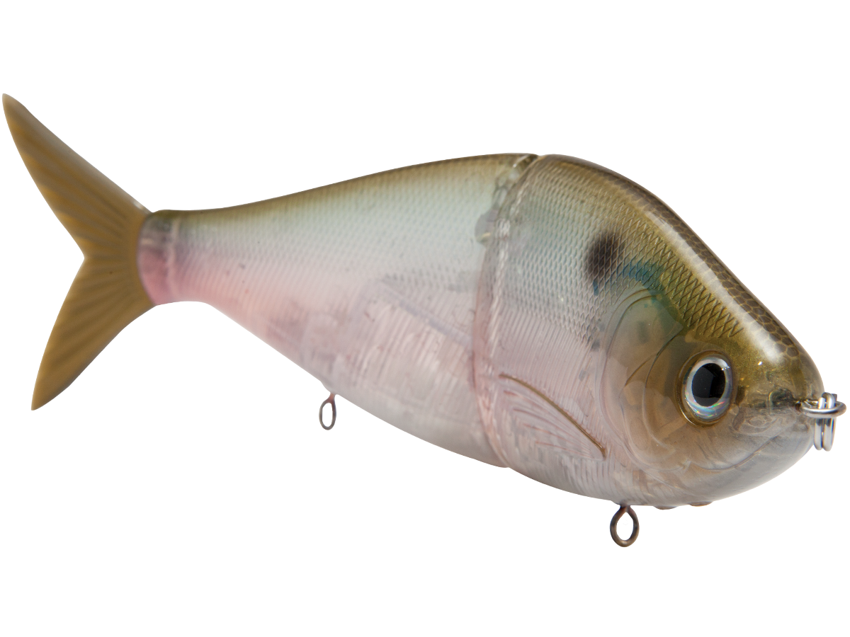 Fishing lure shaped like a fish on a white background
