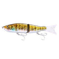 Glide Bait - Gold Black Back