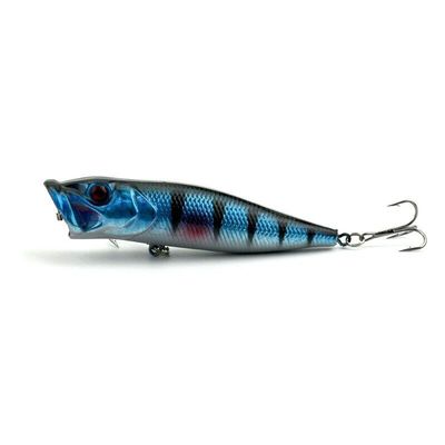 Popper - Black / Blue — topwater fishing lure