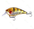Square Bill (0-5 ft) - Gold Black