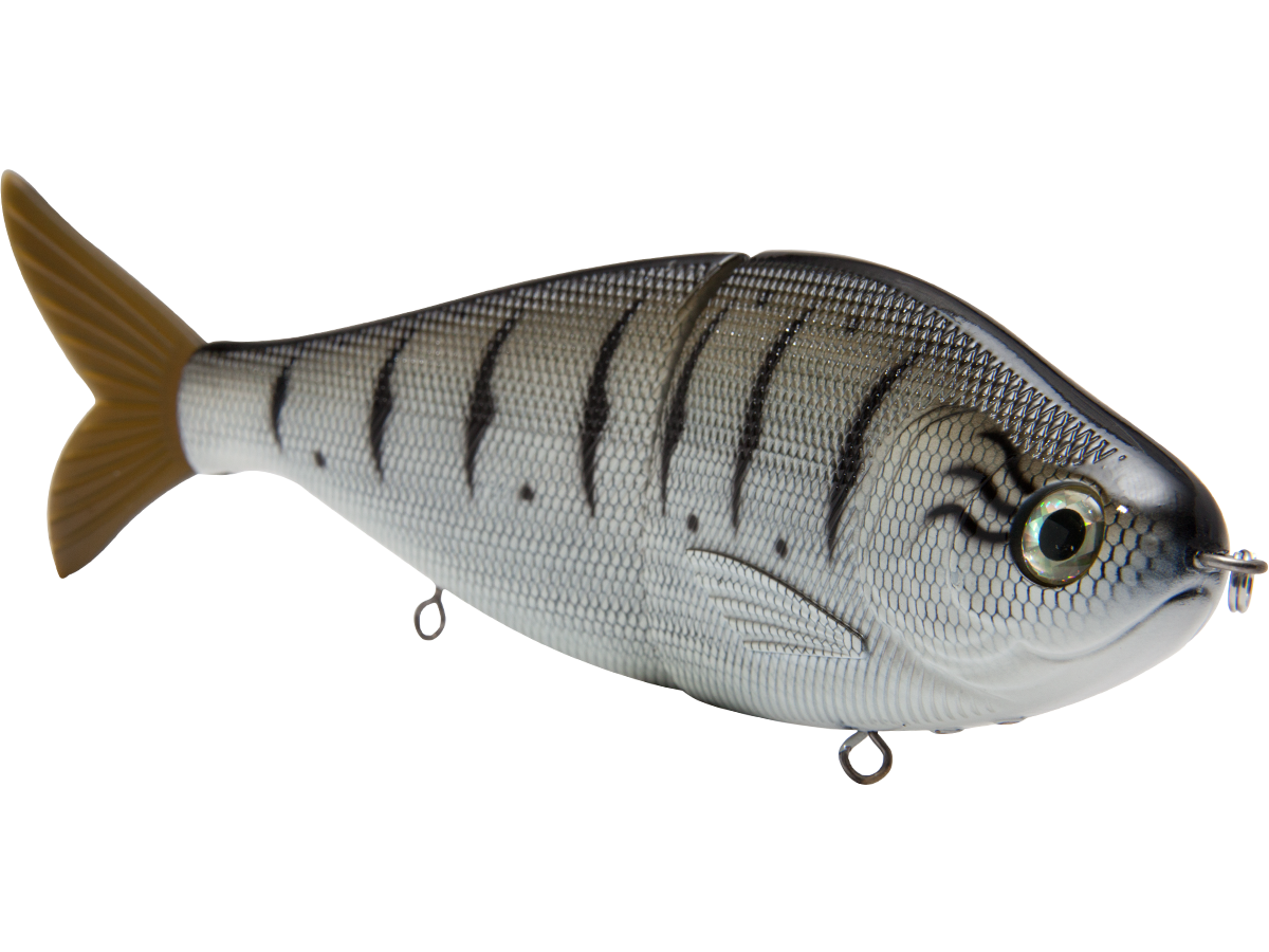 B Viper 8", view 4