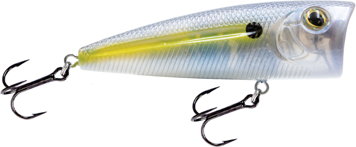 Walk N Pop 67 - fishing lure
