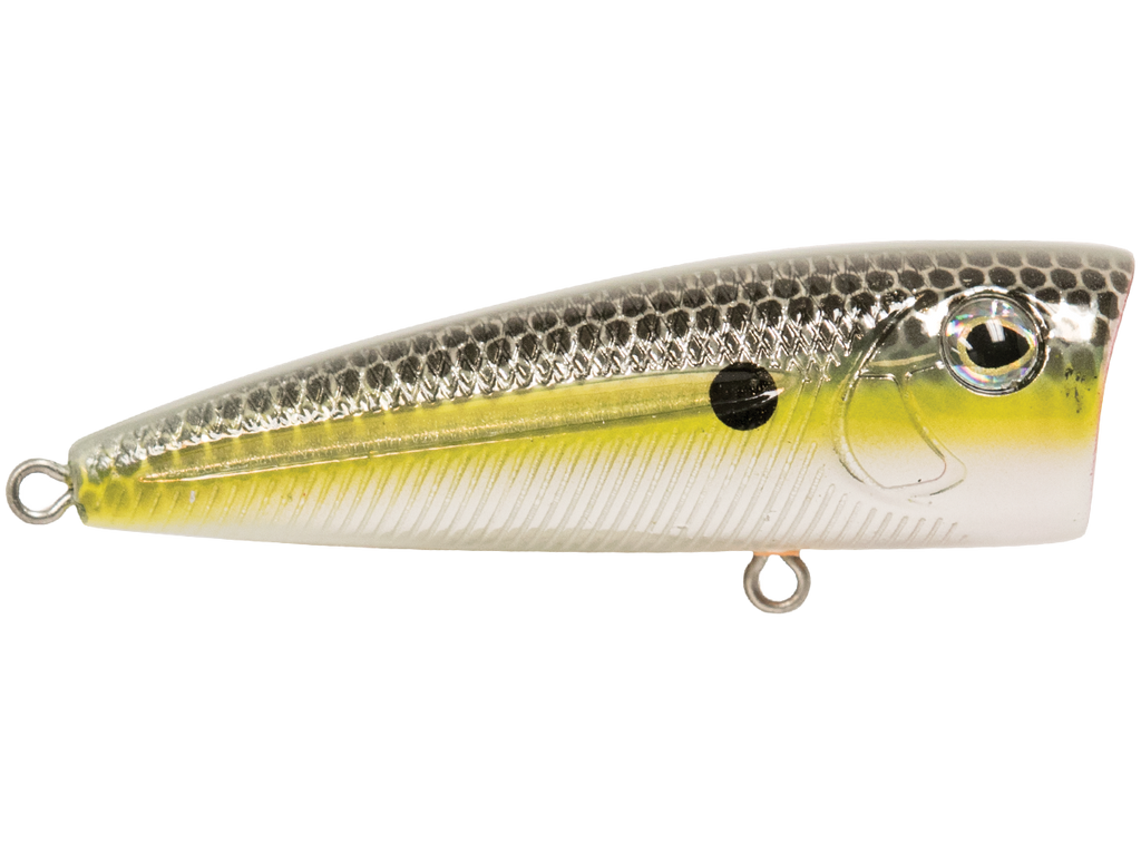 Walk N Pop 67 - fishing lure, view 31