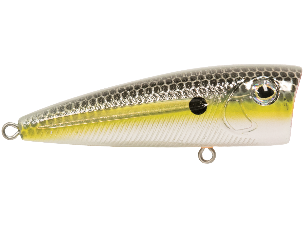 Walk N Pop 67 - fishing lure, view 31