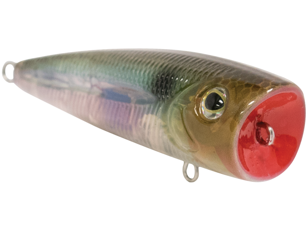 Walk N Pop 67 - fishing lure, view 45