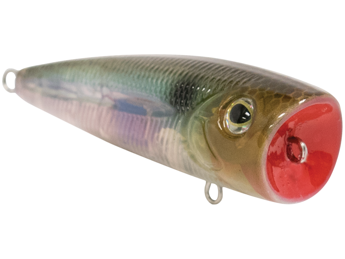 Walk N Pop 67 - fishing lure, view 45
