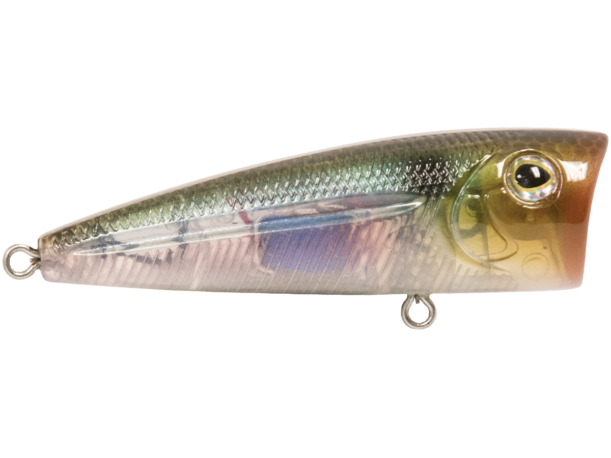 Walk N Pop 67 - fishing lure, view 43