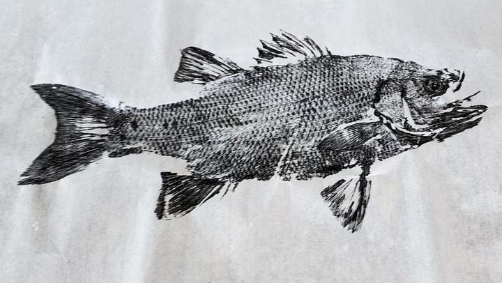 Gyotaku Fish Printing Kit — fishing wall art, view 13