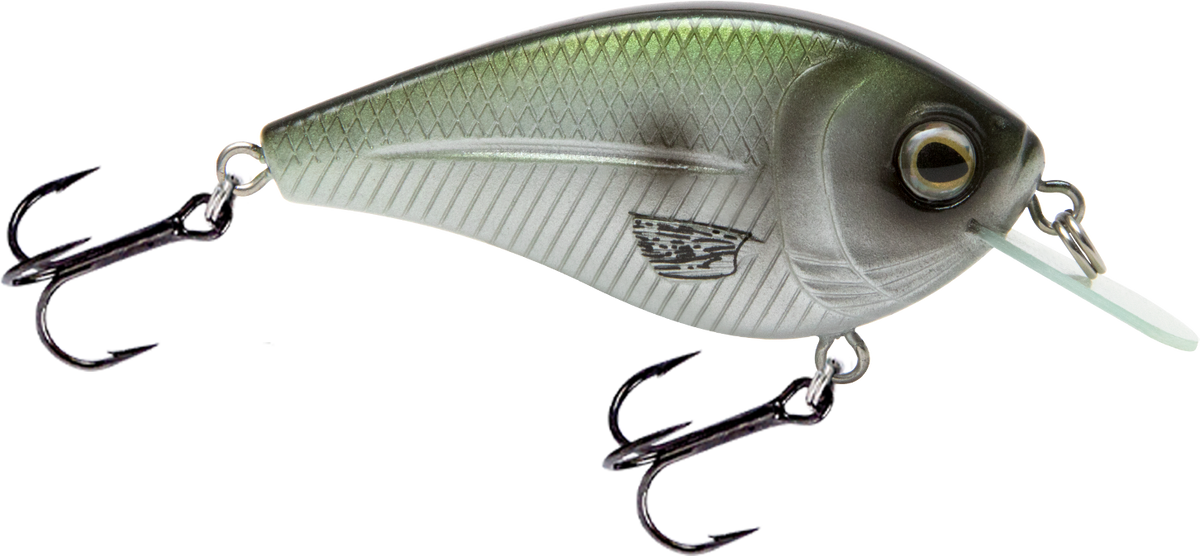 FlatMaster SQ - fishing lure
