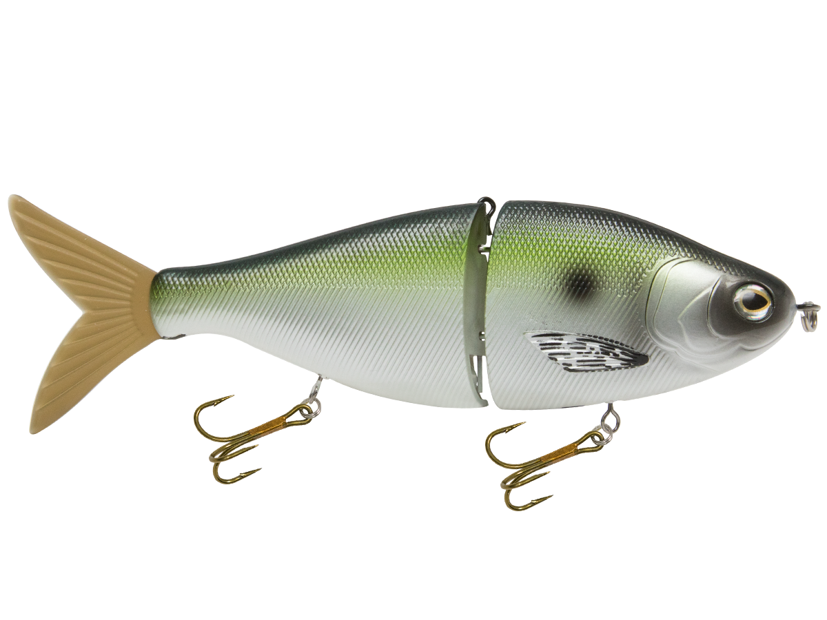 Viper 6", view 8