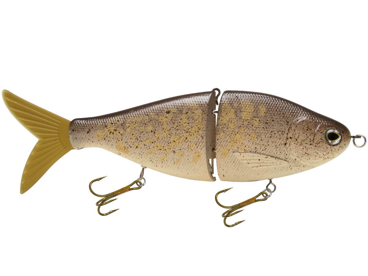 Viper 6", view 14