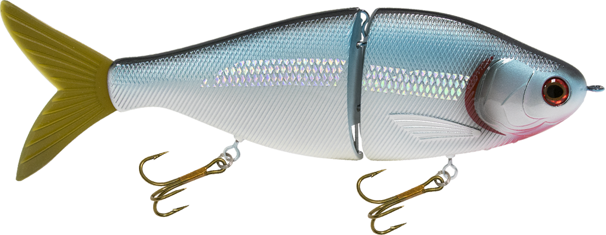 Viper 8", view 4