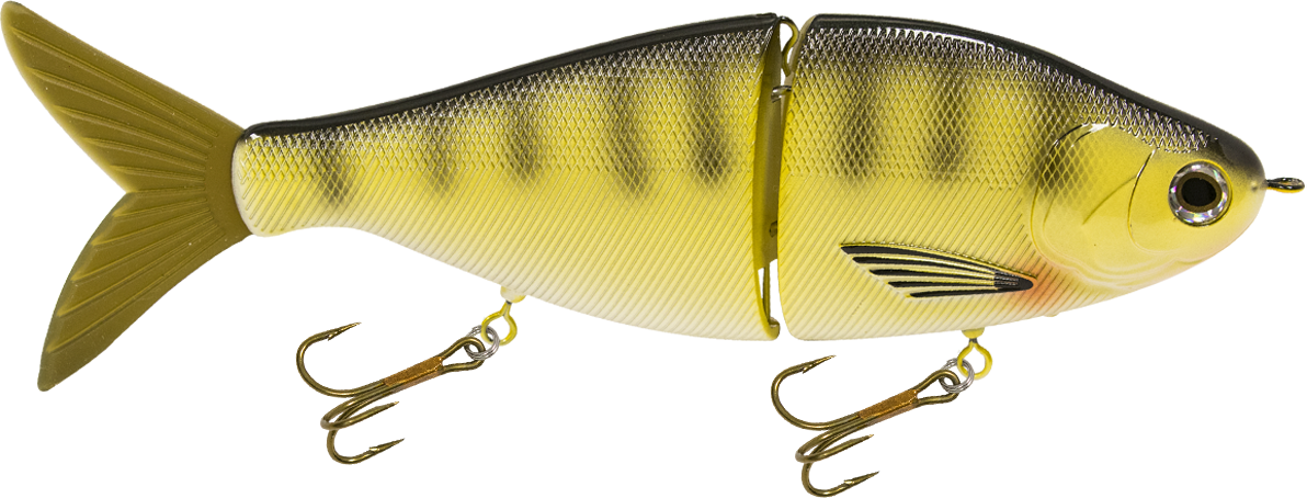 Viper 8", view 10