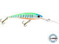 Interceptor — crankbait fishing lure